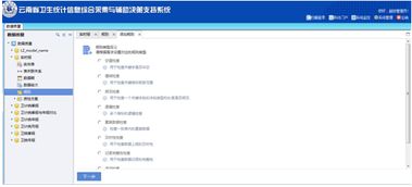 云南省衛(wèi)生統(tǒng)計(jì)信息綜合采集與輔助決策支持系統(tǒng)一期建設(shè)路徑分析——以北京億信華辰合作為例